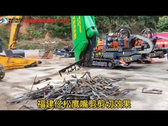 Ножницы с клювом орла